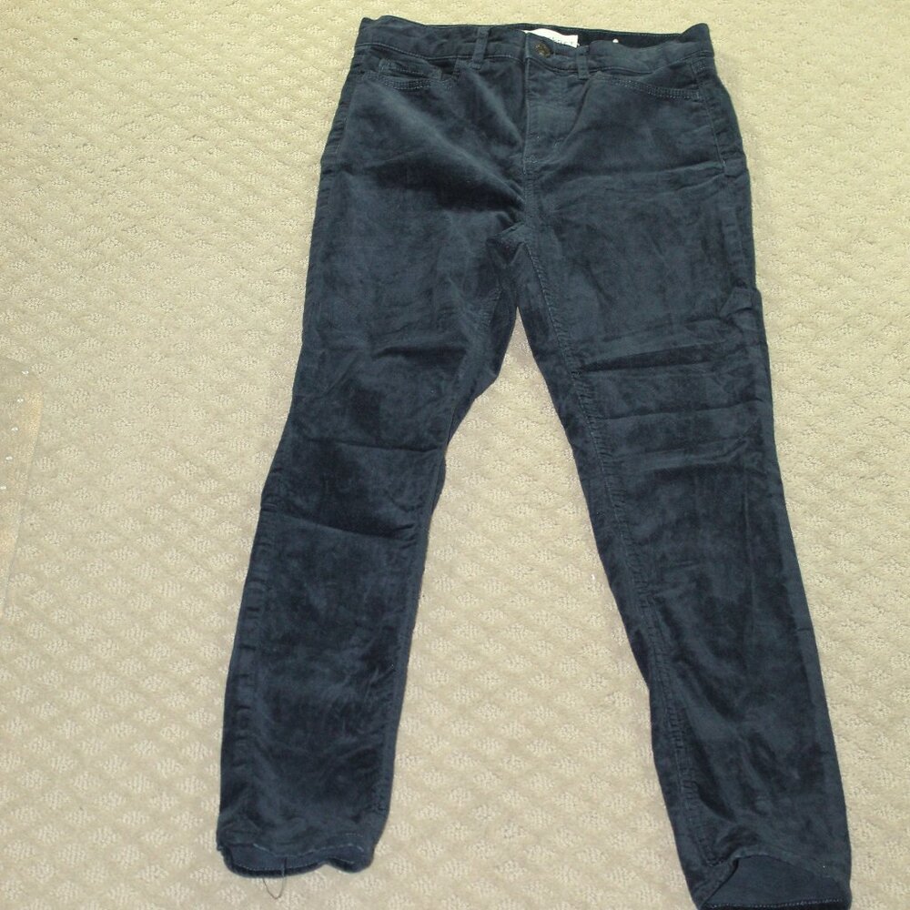 Loft Women's 2 / 26 Skinny Blue Velvet Pants